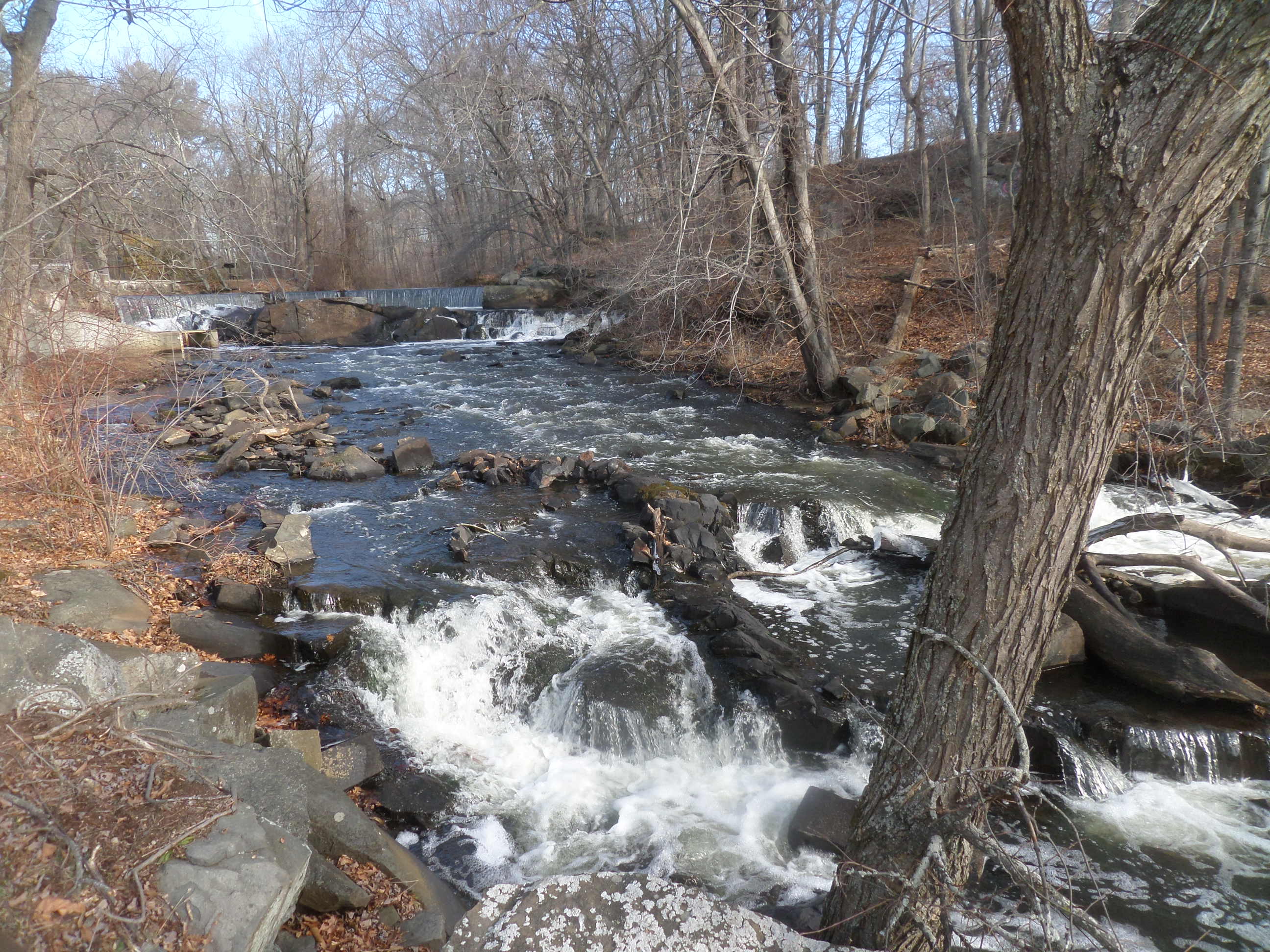 SAMSUNG CAMERA PICTURES