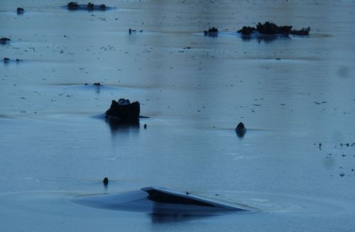 SAMSUNG CAMERA PICTURES