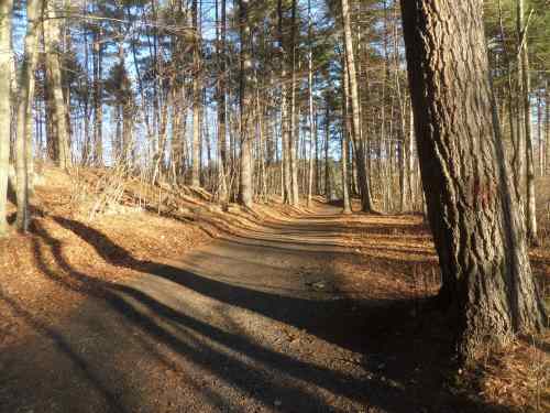 SAMSUNG CAMERA PICTURES