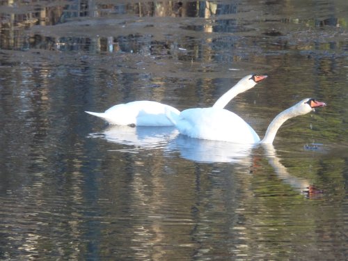 SAMSUNG CAMERA PICTURES