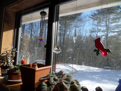 SAMSUNG CAMERA PICTURES