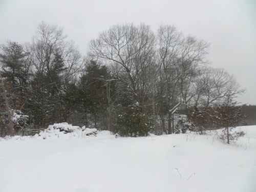 SAMSUNG CAMERA PICTURES