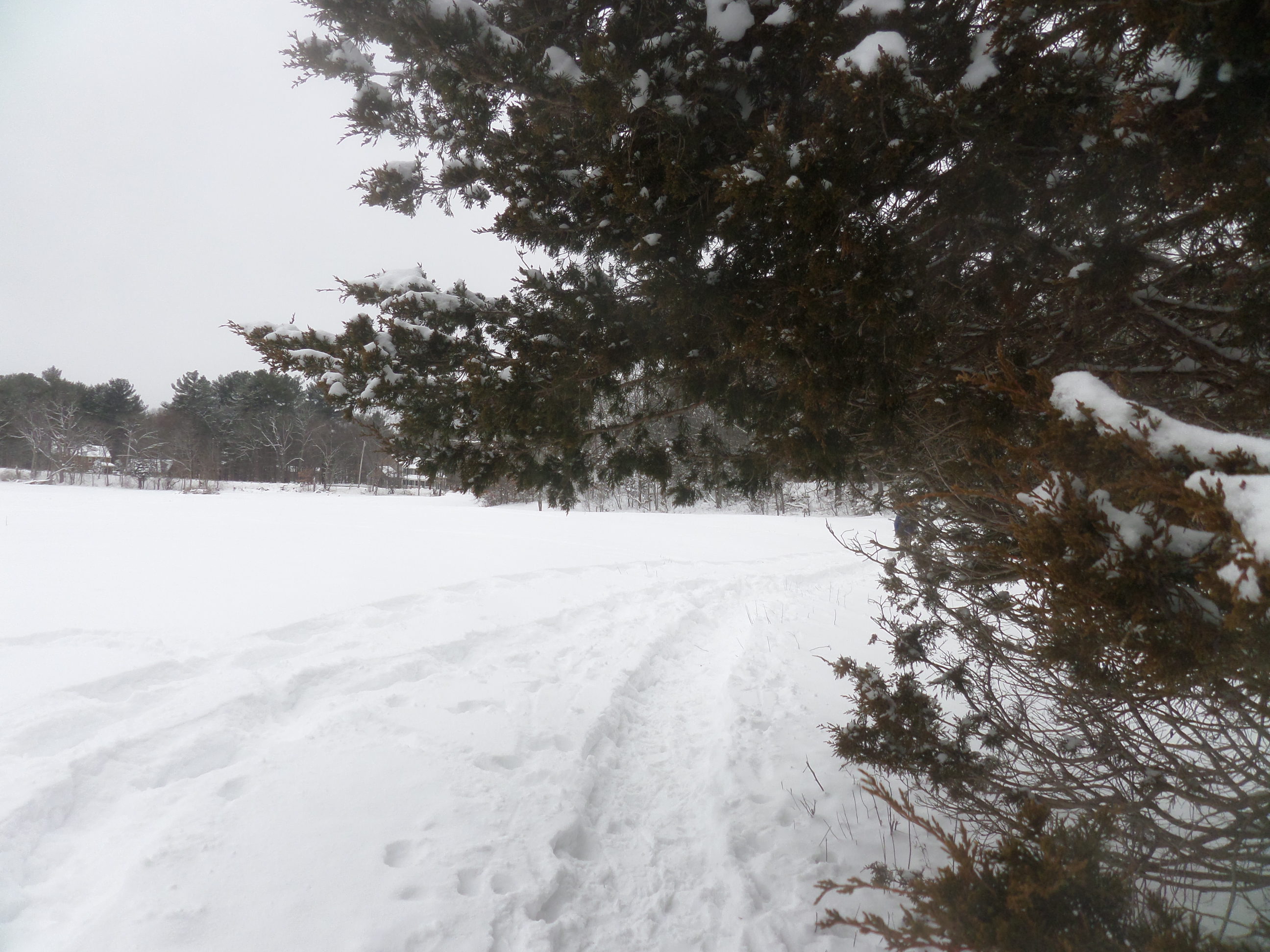 SAMSUNG CAMERA PICTURES