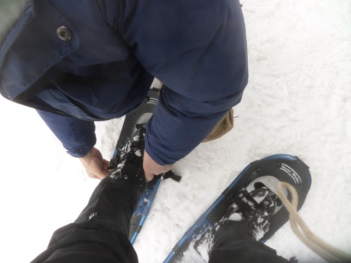 SAMSUNG CAMERA PICTURES