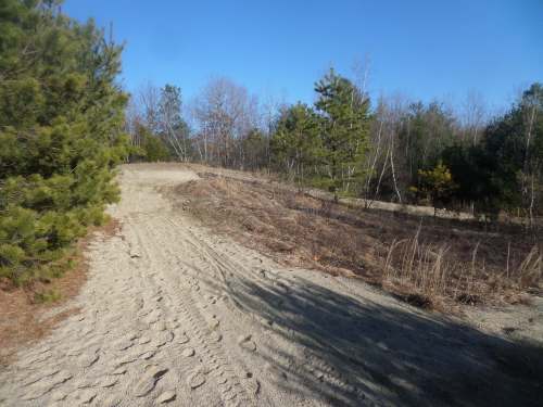 SAMSUNG CAMERA PICTURES