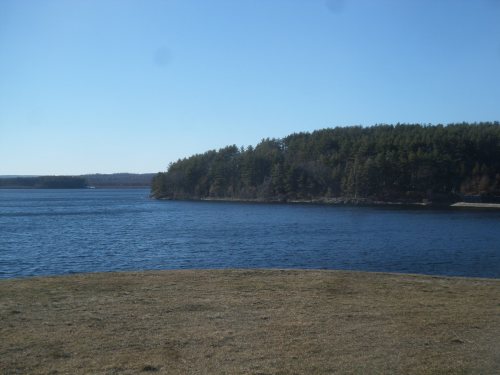 SAMSUNG CAMERA PICTURES