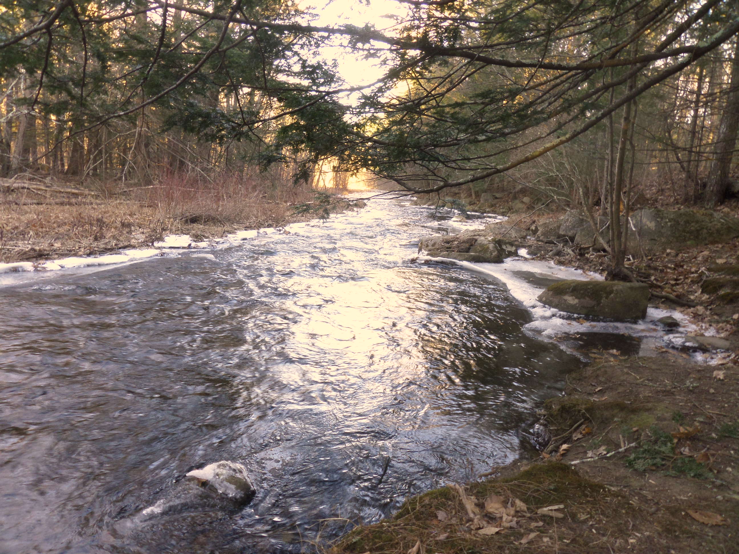 SAMSUNG CAMERA PICTURES