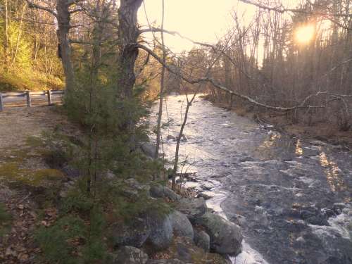 SAMSUNG CAMERA PICTURES