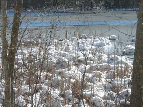 SAMSUNG CAMERA PICTURES