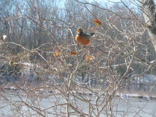 SAMSUNG CAMERA PICTURES