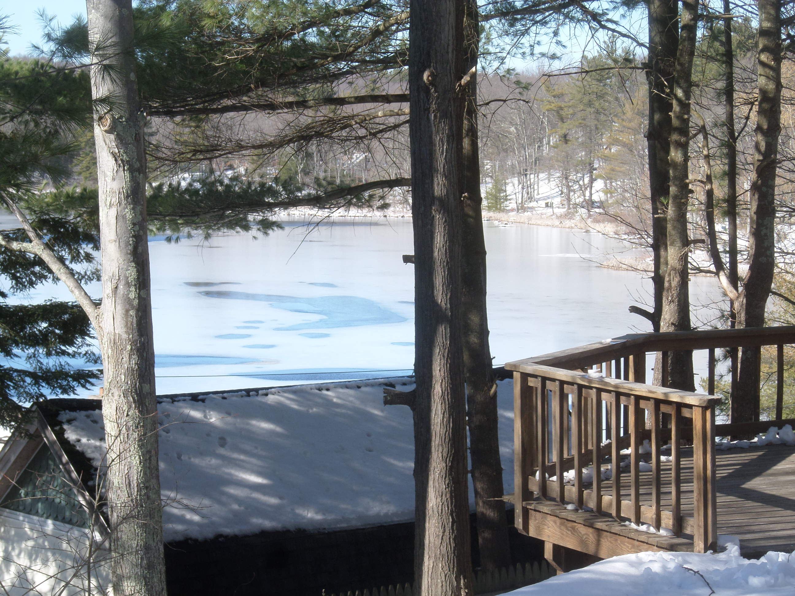 SAMSUNG CAMERA PICTURES