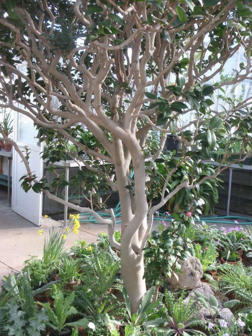 SAMSUNG CAMERA PICTURES