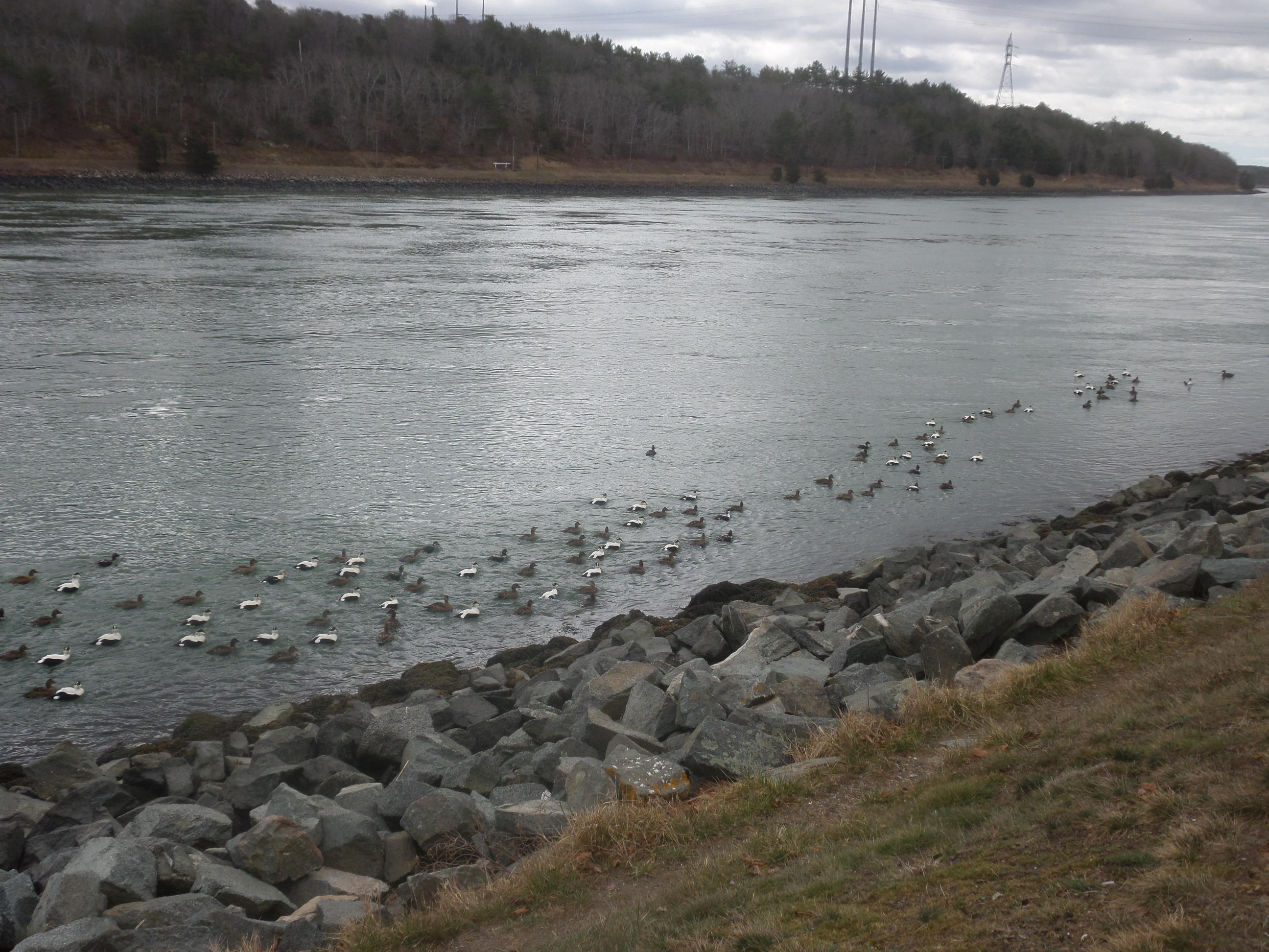 SAMSUNG CAMERA PICTURES