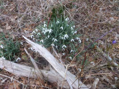 SAMSUNG CAMERA PICTURES