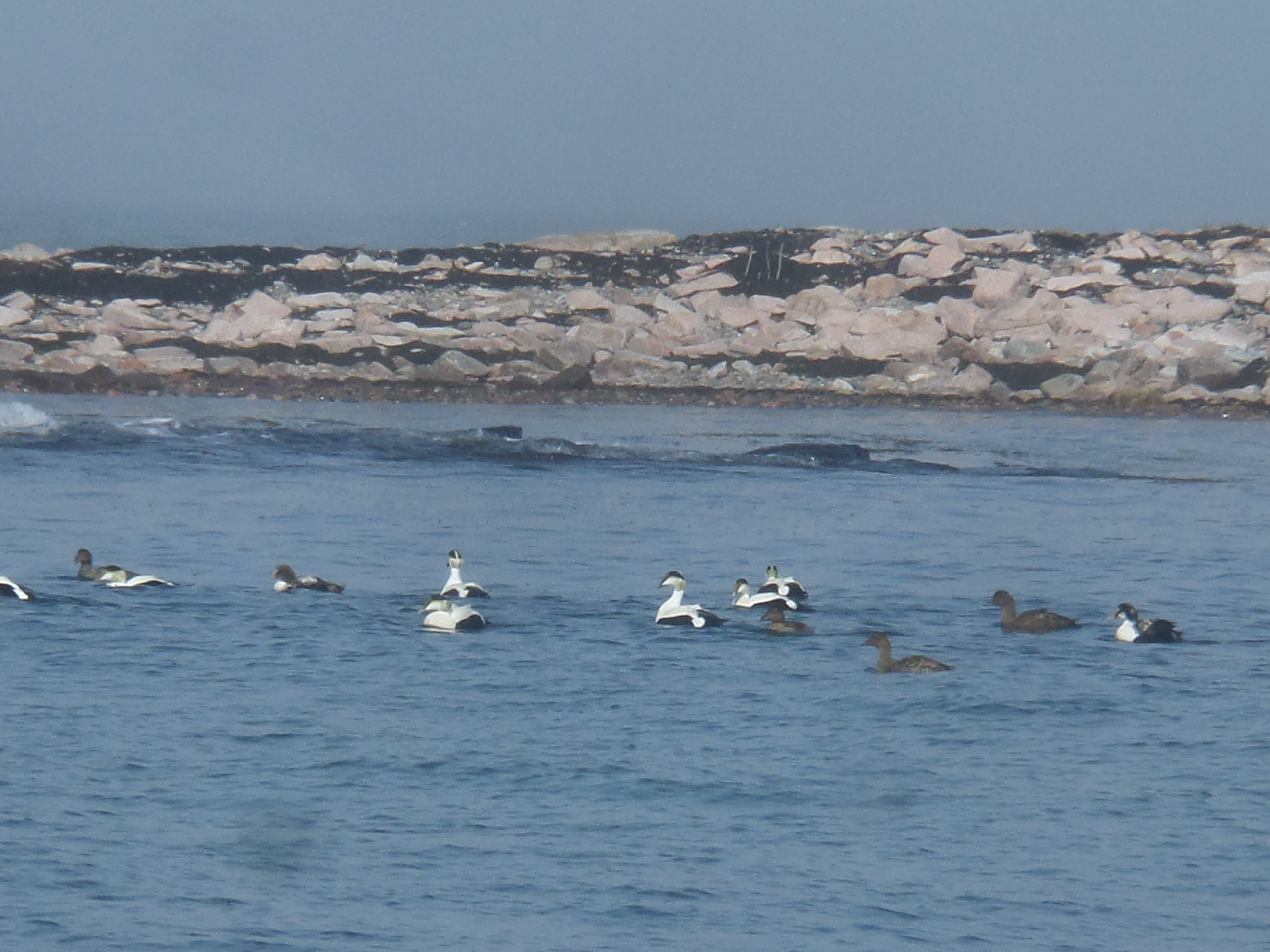 SAMSUNG CAMERA PICTURES