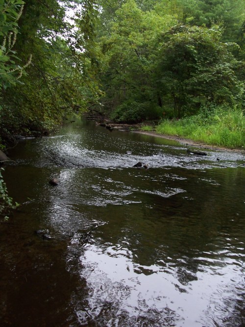 35High Street Bellingham