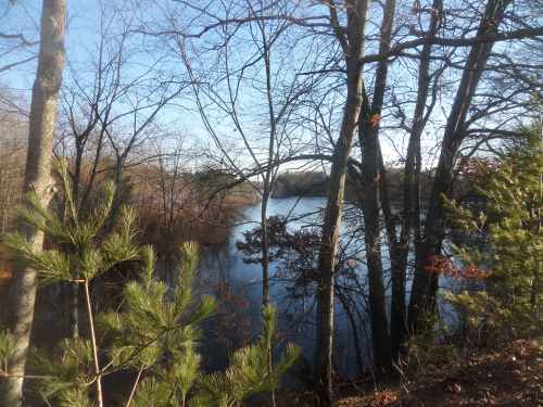 SAMSUNG CAMERA PICTURES