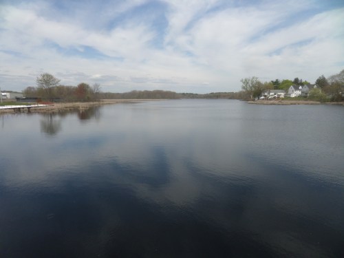 SAMSUNG CAMERA PICTURES