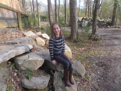 SAMSUNG CAMERA PICTURES