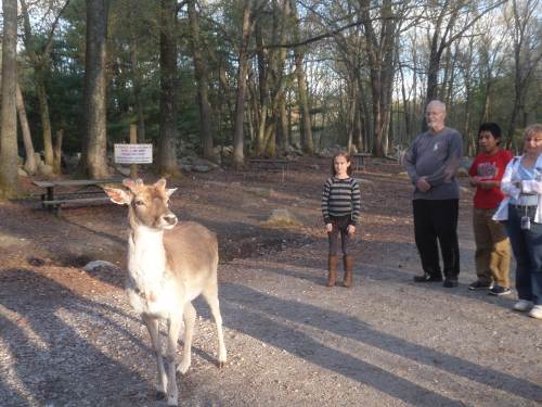 SAMSUNG CAMERA PICTURES