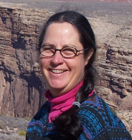 Arizona M cropped pic