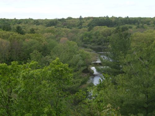 SAMSUNG CAMERA PICTURES