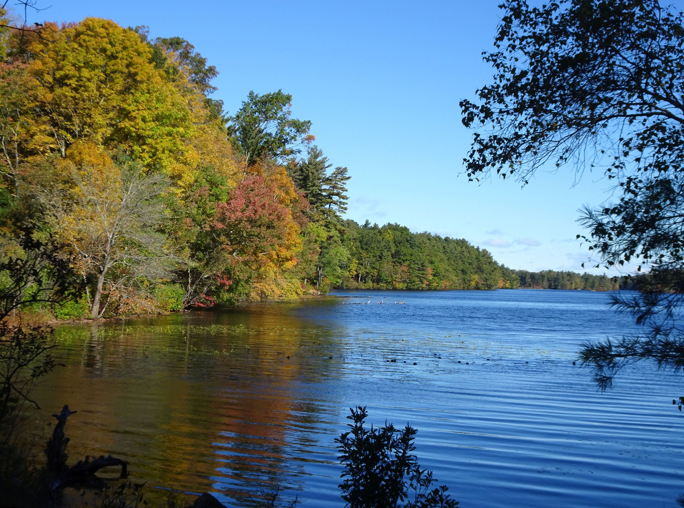 Alke Whitehall, with fall colors, still lake water,blue sky