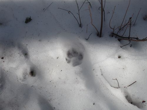 SAMSUNG CAMERA PICTURES