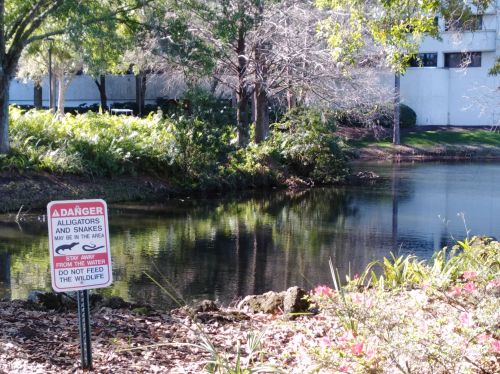 IMG_20200120_103543_BURST001_COVER