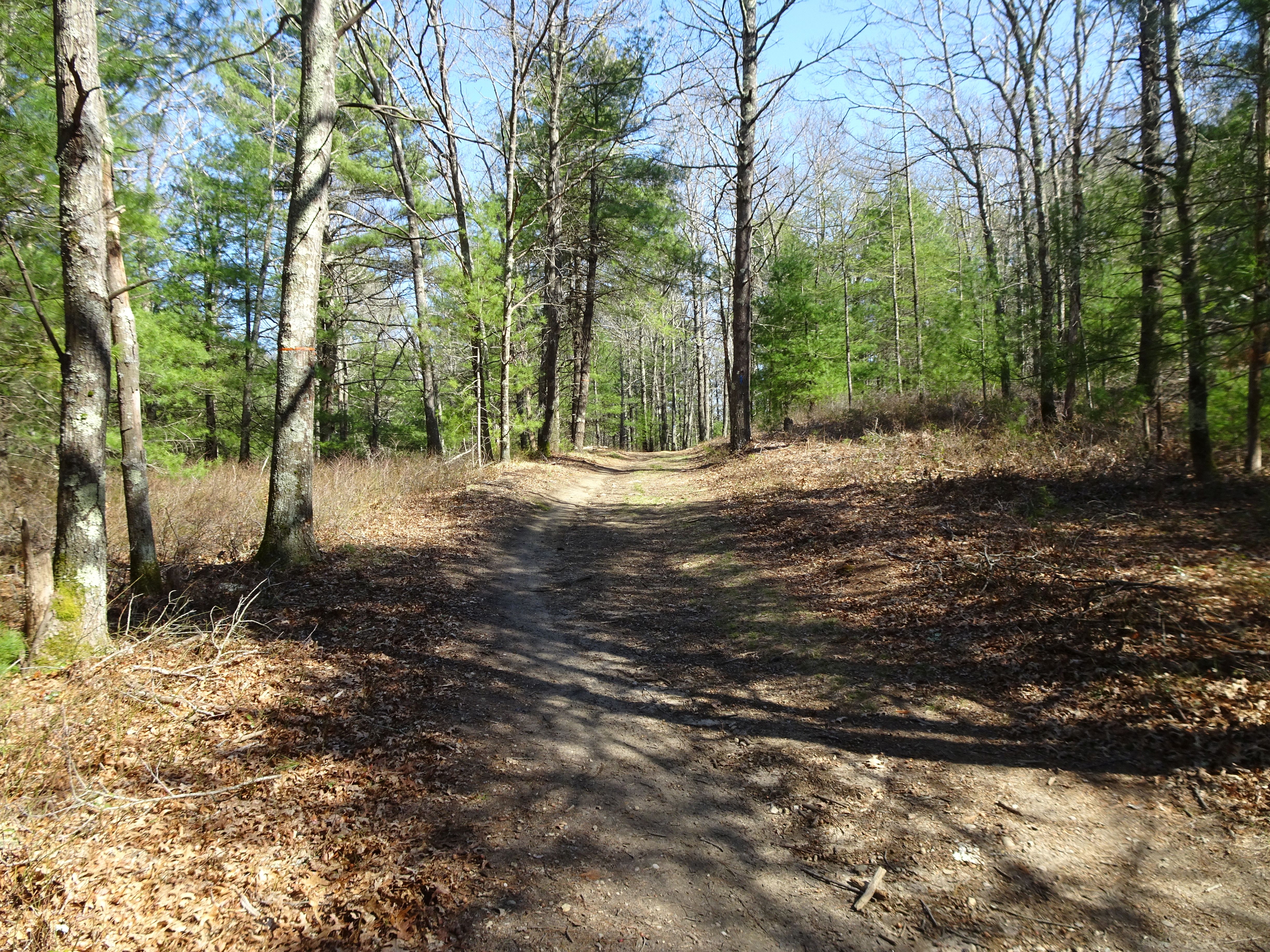 trail Myles Standish