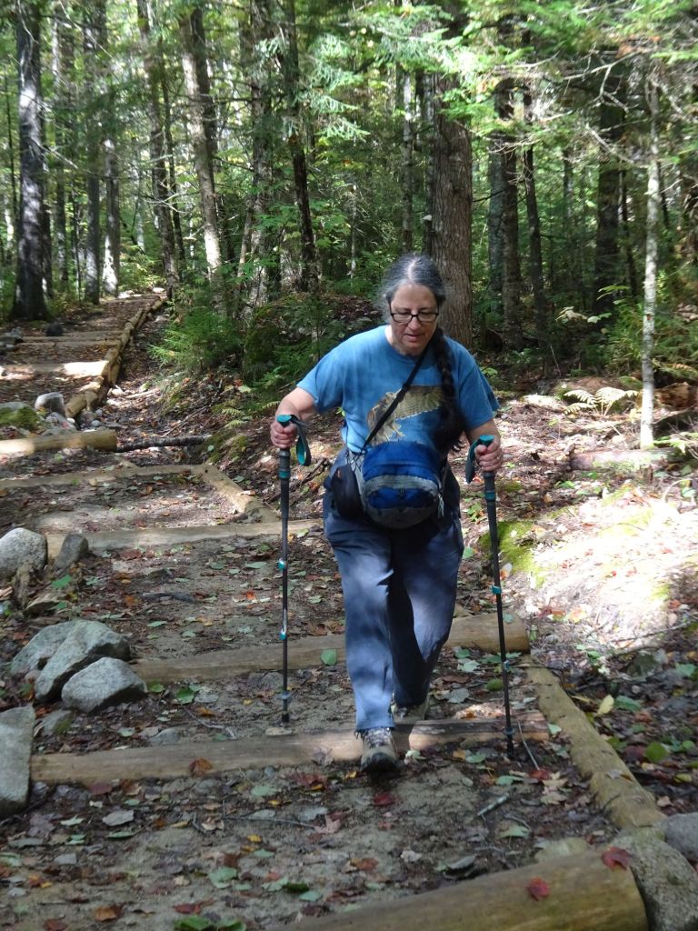 author using hiking poles to safely ascend an outdoor area with steps