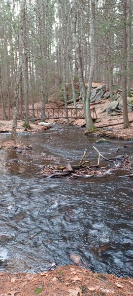 small bridges crosses fast moving river, woodland and rocks on either side